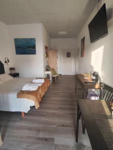 a bedroom with a bed and a table and a television at Magariños Apartamentos in Oia