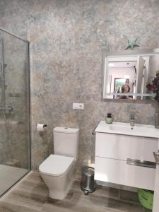 a bathroom with a toilet and a sink and a mirror at Magariños Apartamentos in Oia +22 photos
