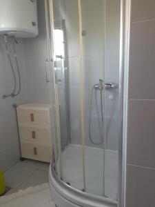 a shower with a glass door in a bathroom at Apartmani Goga in Pirovac