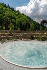 a large swimming pool in a garden with a mountain at Wanda Luxury Boutique Hotel - tylko dla dorosłych in Szczawnica
