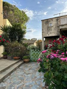 a garden with pink flowers and a fence at Au bon clocher in Canari +7 photos