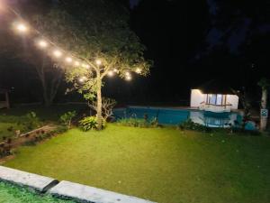 a yard with a tree with lights on it at night at Hotel Kay Terrace in Campaka