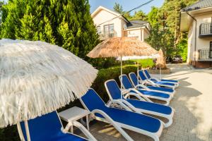 a row of blue chairs and umbrellas at Pensjonat PISZ in Pobierowo