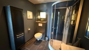 a bathroom with a toilet and a glass shower at Bergnes Lodge in Senja +21 photos