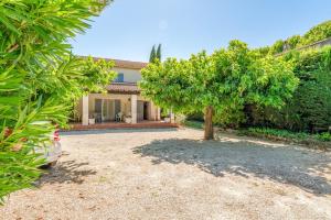a tree in the yard of a house at Studio meublé in Saint-Rémy-de-Provence