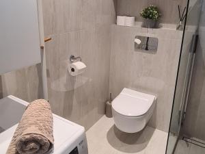 a bathroom with a toilet and a glass shower at Seaside Getaway Apartment in Haapsalu