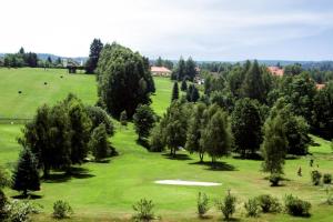 an overhead view of a golf hole in a field with trees at Hauszeit mit Pfoten in Litschau
