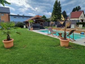 a yard with plants in pots next to a pool at Murtal Suiten in Zeltweg