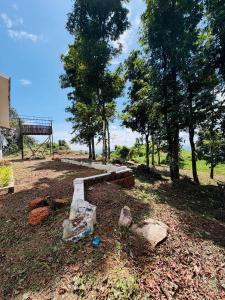 a bench in a park with trees and a basketball hoop at BIG INN Resort in Mattanūr +20 photos