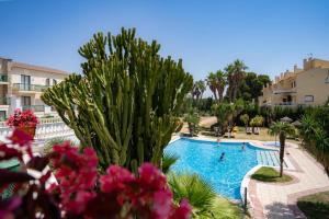 a view of a swimming pool at a resort at ALEGRIA Pino Alto in Miami Platja