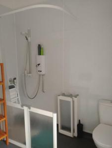 a bathroom with a shower and a toilet at Monument View in Hexham +7 photos