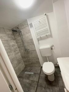 a bathroom with a toilet and a shower at The Urban Nest apartament in Giurgiu