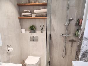 a bathroom with a shower stall and a toilet at Seaside Getaway Apartment in Haapsalu +9 photos