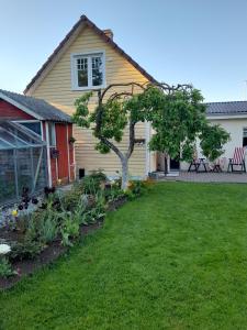 a house with a yard with a tree at Männi hoovimaja in Pärnu