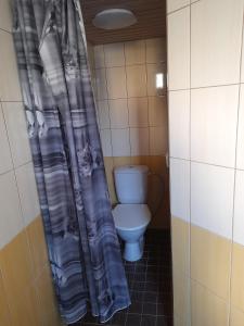 a bathroom with a toilet and a shower curtain at Männi hoovimaja in Pärnu