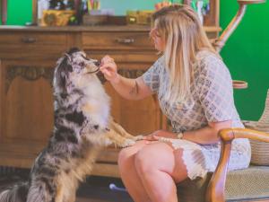 a woman is feeding her dog a treat at greet hôtel Annecy Cran-Gevrier by Accor in Annecy