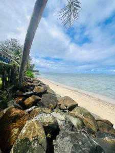 a beach with rocks and a palm tree at Toreaiva 91 Beachfront Studios in Arorangi