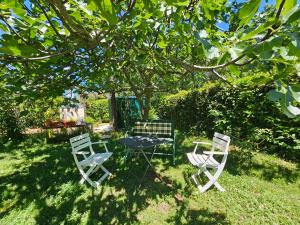 two chairs and a table under a tree at Ferienwohnung Prestele in Risika +4 photos