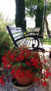 A garden outside Agriturismo Fiorano