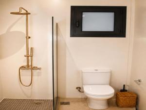 a bathroom with a toilet and a mirror at Lanu Apartments in Argostoli