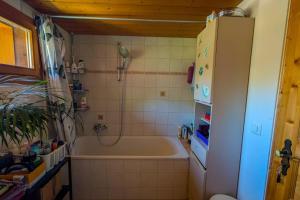 a bathroom with a bath tub in a room at Gemütliches Gartenhüttli mit Alpenblick in Meiringen