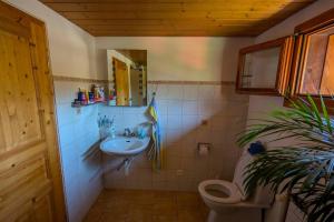 a bathroom with a sink and a toilet at Gemütliches Gartenhüttli mit Alpenblick in Meiringen +6 photos