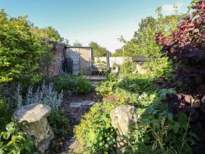 a garden with a stone path and plants at 5 Castle Street in Newport