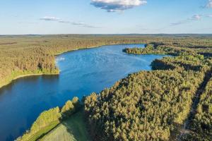 an aerial view of a lake in the woods at Country house in Dziemiany