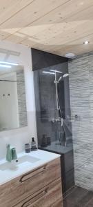 a bathroom with a shower and a sink at Chalet avec jacuzzi privé, 3 chambres in Traubach-le-Haut
