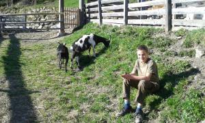 Zwierzęta w gospodarstwie agroturystycznym lub w pobliżu