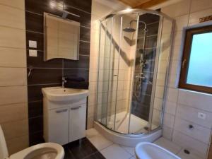 a bathroom with a shower and a toilet and a sink at Leśna Arkadia in Dominice +23 photos