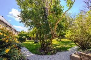 a garden with a tree and a stone path at La MASSERIA in Thuin