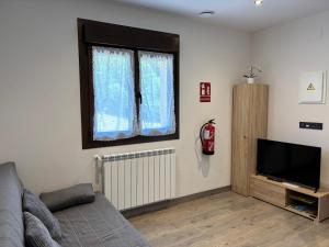 a living room with a couch and a tv and a window at Apartamentos Fuente La Pipa in Avín