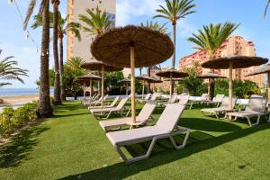 a row of lounge chairs and umbrellas at a beach at AluaSun Doblemar in La Manga del Mar Menor