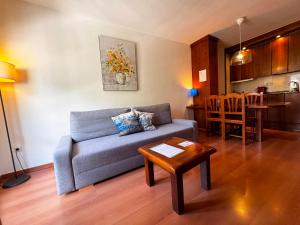 a living room with a couch and a table at Apartamentos Los Lagos in Benasque