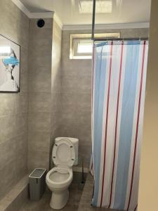 a bathroom with a toilet and a shower curtain at The Bay Apartments in Cholpon-Ata
