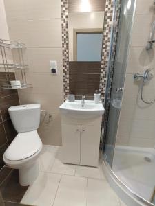 a bathroom with a toilet and a sink and a shower at Noclegi Pod Lasem in Polańczyk +15 photos