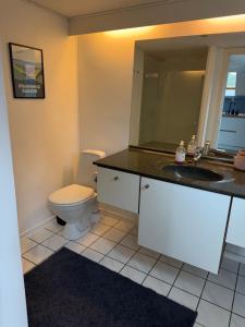 a bathroom with a toilet and a sink and a mirror at BBL59 in Faaborg +42 photos
