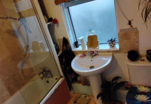 a bathroom with a sink and a toilet and a window at BEE HAPPY available with shared bathroom in Glastonbury