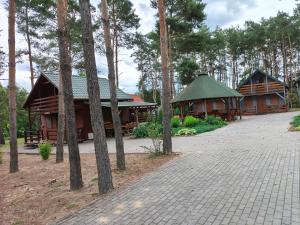 a couple of cabins in a forest with trees at Domki Piaskowa in Boszkowo-Letnisko