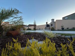 a garden in front of a building with plants at Casinhas do Penedo in Canelas
