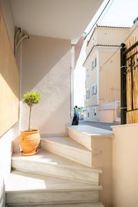 a staircase with a potted plant on the side of a building at Nesto Living in Chóra
