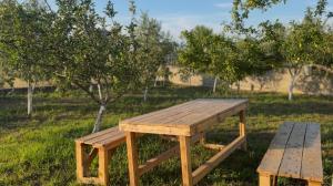 a wooden picnic table and a bench in a field at Mekli Guesthouse in (( Shën Ded Gjoni ))