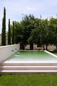 a pool of water in a yard with trees at Palacio de Paradinas in Santa María la Real de Nieva
