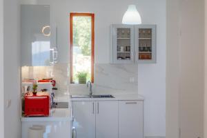 Kuchyň nebo kuchyňský kout v ubytování LB Apartment + 22 fotografií