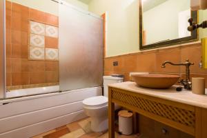 a bathroom with a sink and a toilet and a mirror at Gaia accommodation Hydras in Hydra +29 photos