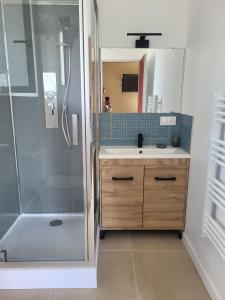 a bathroom with a sink and a shower at Studio Cosy in Saint-Lon-les-Mines