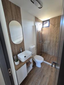 a bathroom with a toilet and a sink and a mirror at Casa LSA in Arefu +13 photos