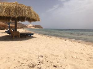 a beach with chairs and a straw umbrella and the ocean at Viva La Vida Beach Camp in Nuweiba