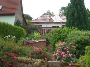 a garden with pink flowers in front of a house at Haus Maria in Fischbach +18 photos